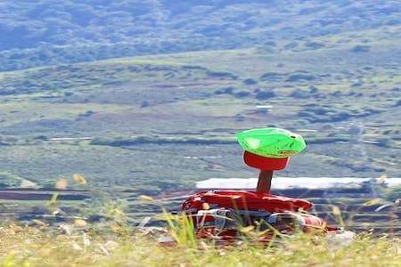 Trekking, flowers and coffee in Dalat 