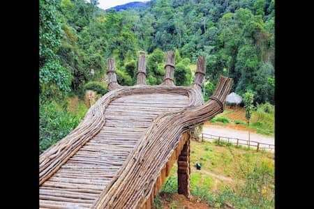 Hoa Son Dien Trang - The famous Buddha's hand