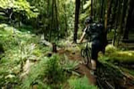 What to do in Dalat