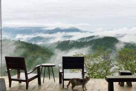 Four beautiful coffee shops in the middle of Dalat