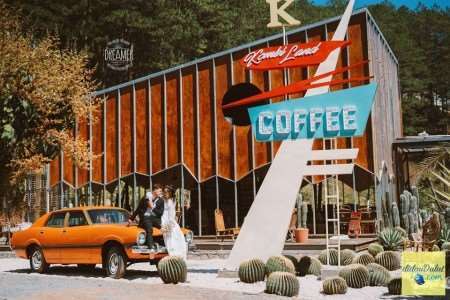 Hottest Cactus Kingdom Appeared in DaLat