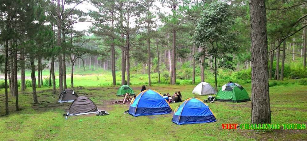 camping in Dalat - Viet Challenge Tours