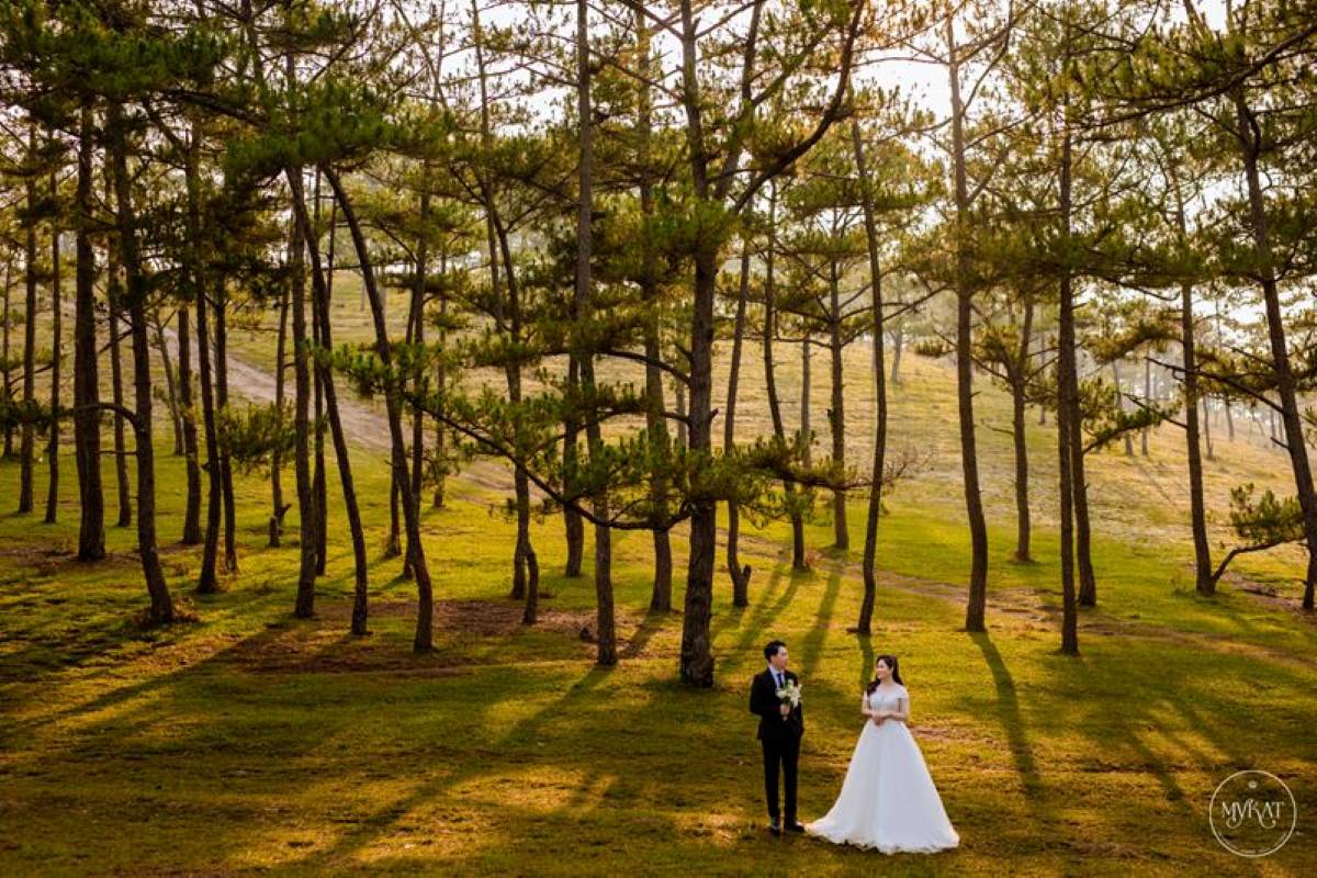 Best Wedding Photo Spots in Da Lat
