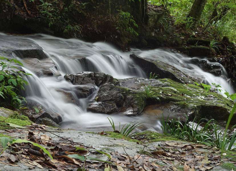 Bidoup Nui Ba National Park Viet Challenge Tours Vietnam Adventure