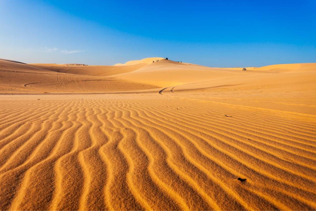 Red Sand Dunes