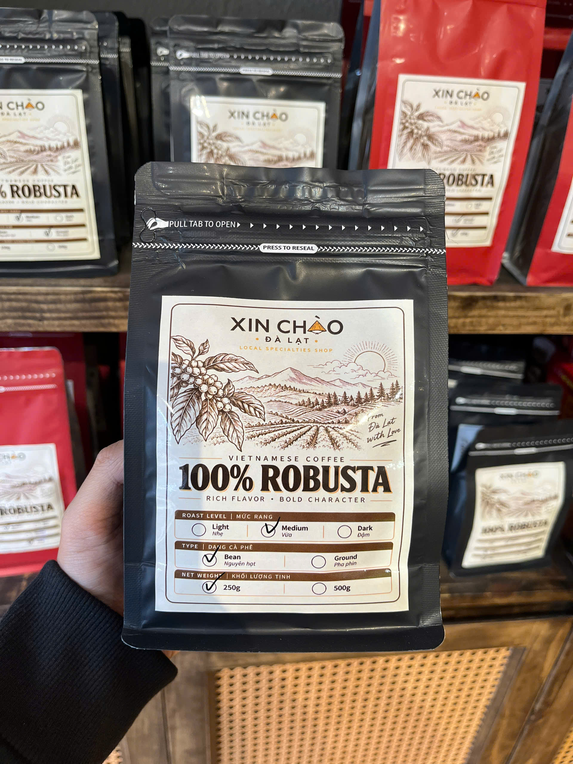 robusta coffee