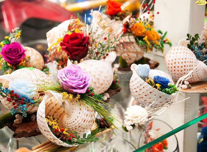 Dried Flowers Showroom