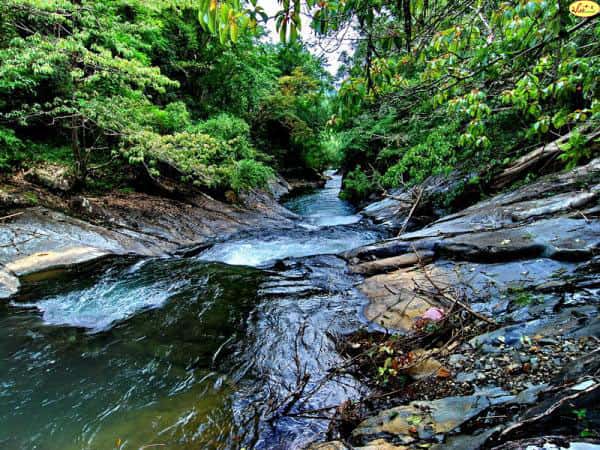 Fairy Stream Fairy Stream