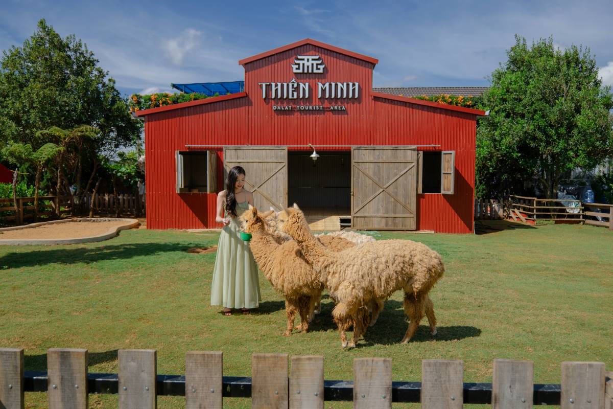 Thien Minh Dalat