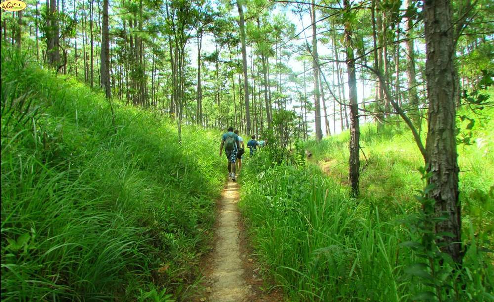 Trekking way to Tiger Cave Waterfall