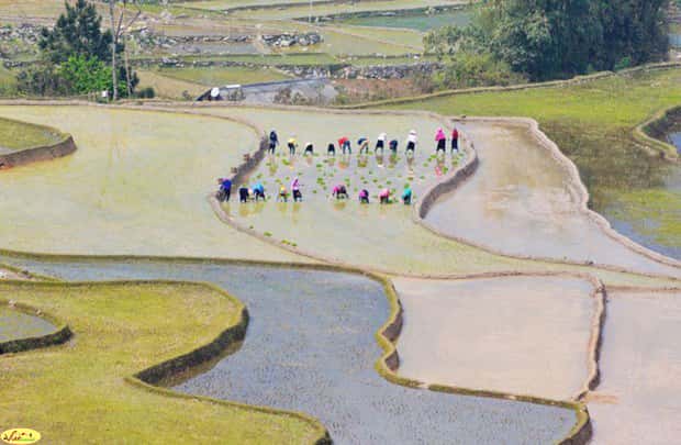 dalat canyoning dalat canyoning